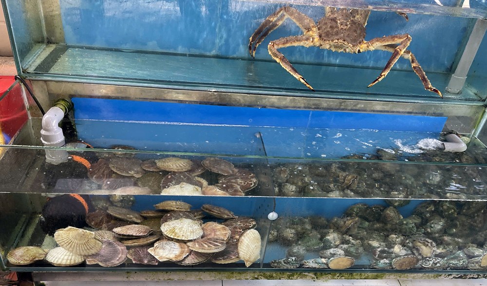 Thực hư về quán ăn “chặt chém” ở Vũng Tàu và giá vé gửi xe Đà Lạt 2026 - ảnh 1