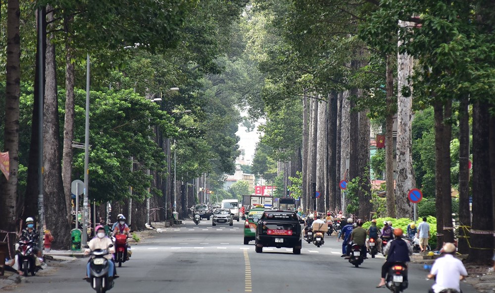 TP.HCM “đổi khí hậu”, buổi sáng se lạnh như cao nguyên - ảnh 1