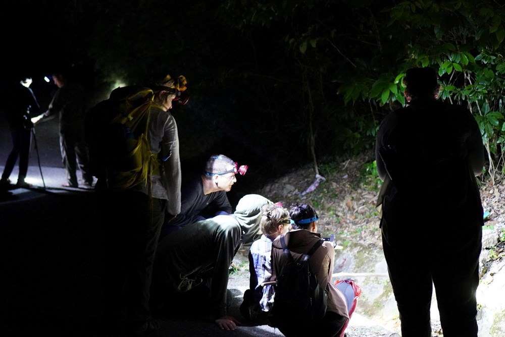 Khám phá động vật hoang dã về đêm: trải nghiệm độc đáo tại Phong Nha - Kẻ Bàng - ảnh 1