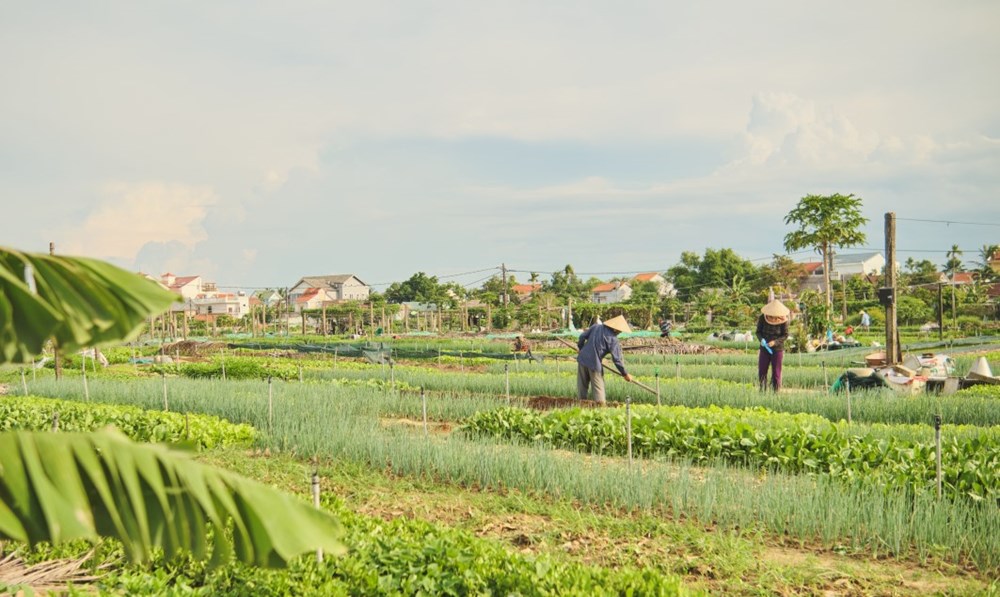 Du lịch Việt Nam với bài toán chuyển đổi mô hình bền vững - ảnh 2