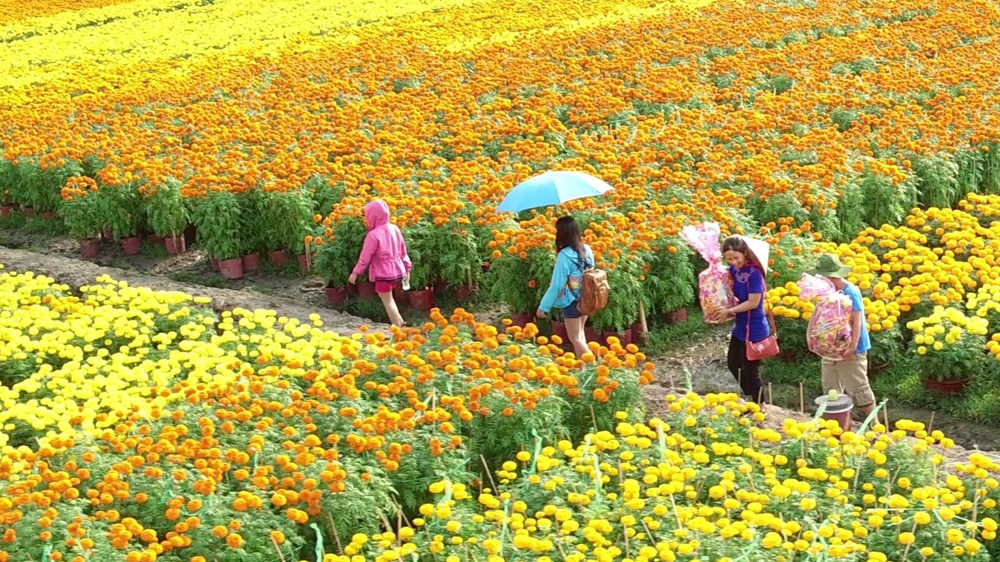 Du lịch Việt Nam với bài toán chuyển đổi mô hình bền vững - ảnh 1