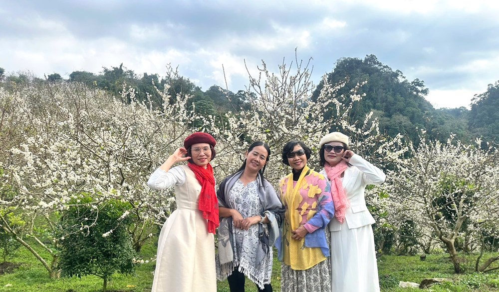 Mùa xuân Mộc Châu không chỉ có hoa mận nở… - ảnh 1