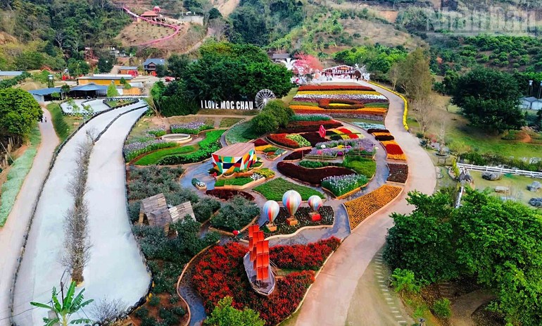 Mùa xuân Mộc Châu không chỉ có hoa mận nở… - ảnh 6