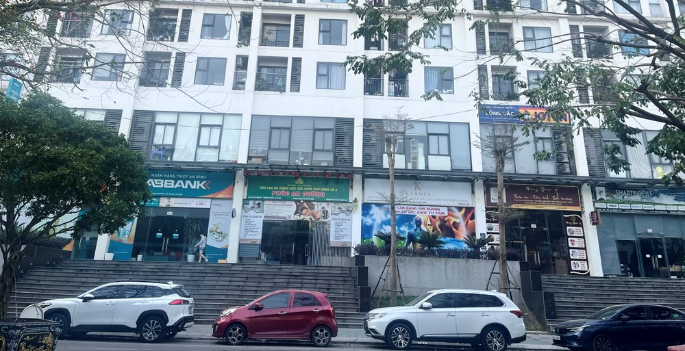 Vì sao nhiều người lựa chọn đi chung xe về quê dịp Tết Nguyên đán? - ảnh 1