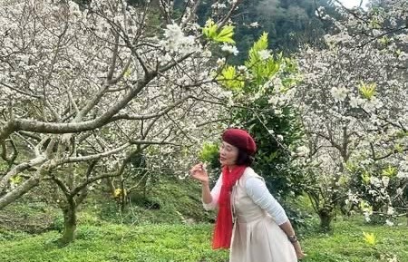 Khi sắc hoa xuân dẫn lối du lịch vùng cao - ảnh 1