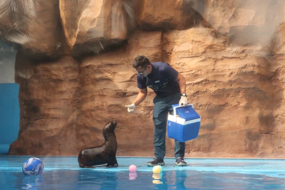 Hòn Tre bùng nổ mùa Tết với bộ ba siêu phẩm giải trí chưa từng có - ảnh 3