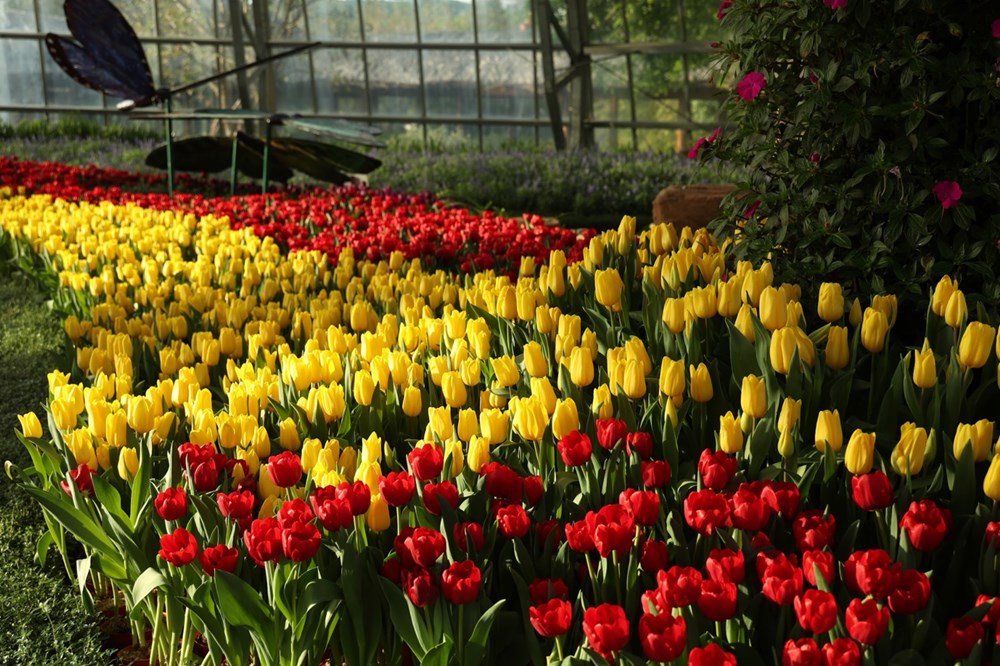 Hòn Tre bùng nổ mùa Tết với bộ ba siêu phẩm giải trí chưa từng có - ảnh 5