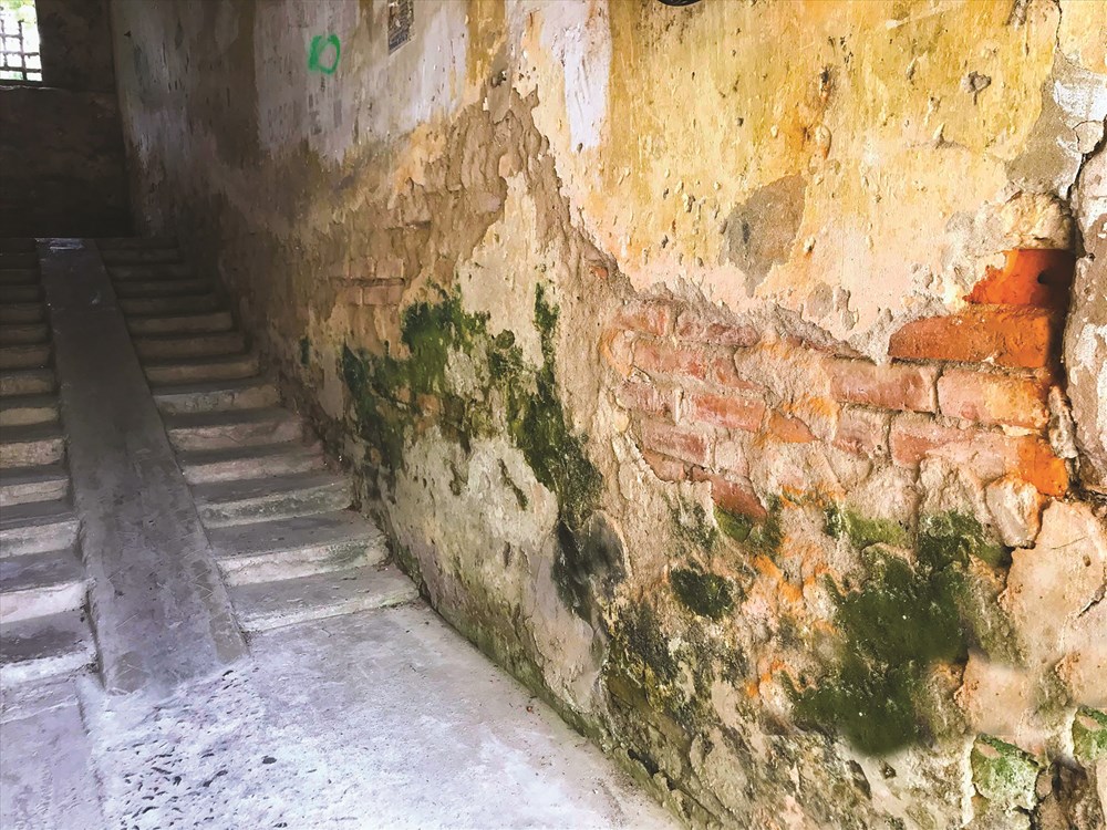 Dãy “tập thể” trầm ngâm - ảnh 2