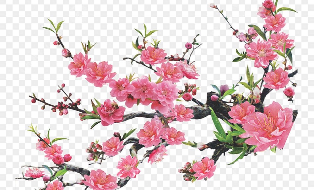 Thơ Tết của Bác - ảnh 1