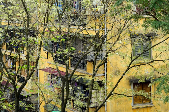 Hoa sưa nở trắng trời Hà Nội: Các cung đường “hút” người check-in - ảnh 4