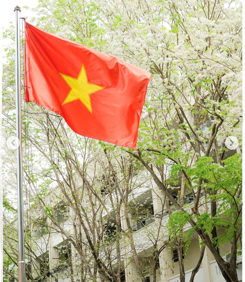 “Cà phê chữa lành” với hoa sưa: Các điểm ngắm đẹp nhất Hà Nội - ảnh 1