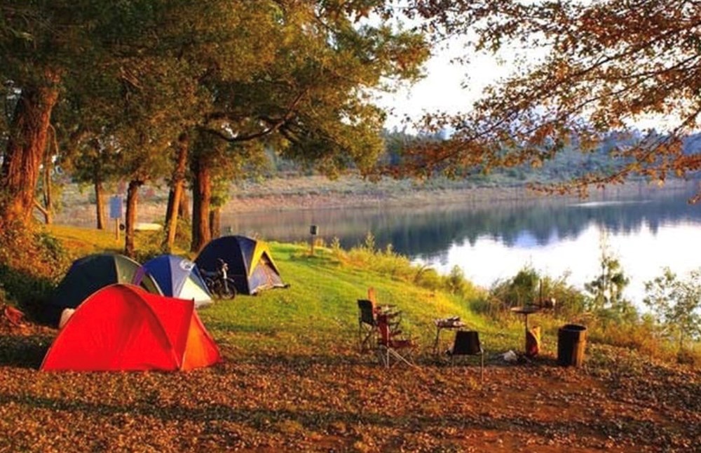 Chill giữa mùa hoa nở, cắm trại thư giãn cuối tuần - ảnh 6