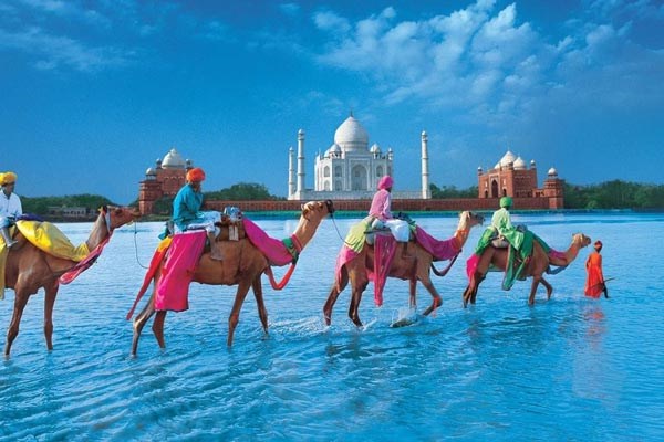 Ấn Độ chuyển sang khai báo nhập cảnh online, khách Việt cần làm gì? - ảnh 1