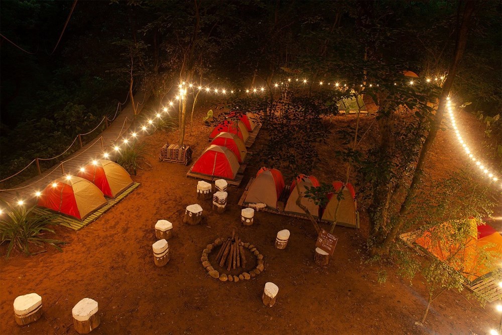 Người phụ nữ lặng thầm giữ một miền xanh cho Phong Nha - ảnh 4