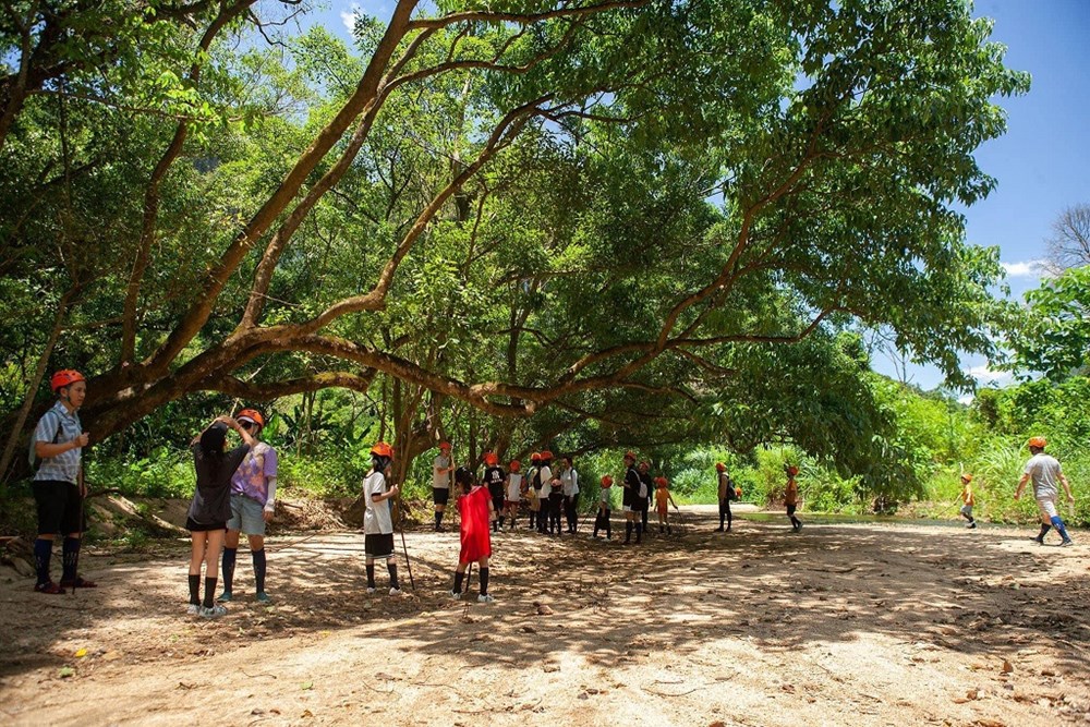 Người phụ nữ lặng thầm giữ một miền xanh cho Phong Nha - ảnh 5