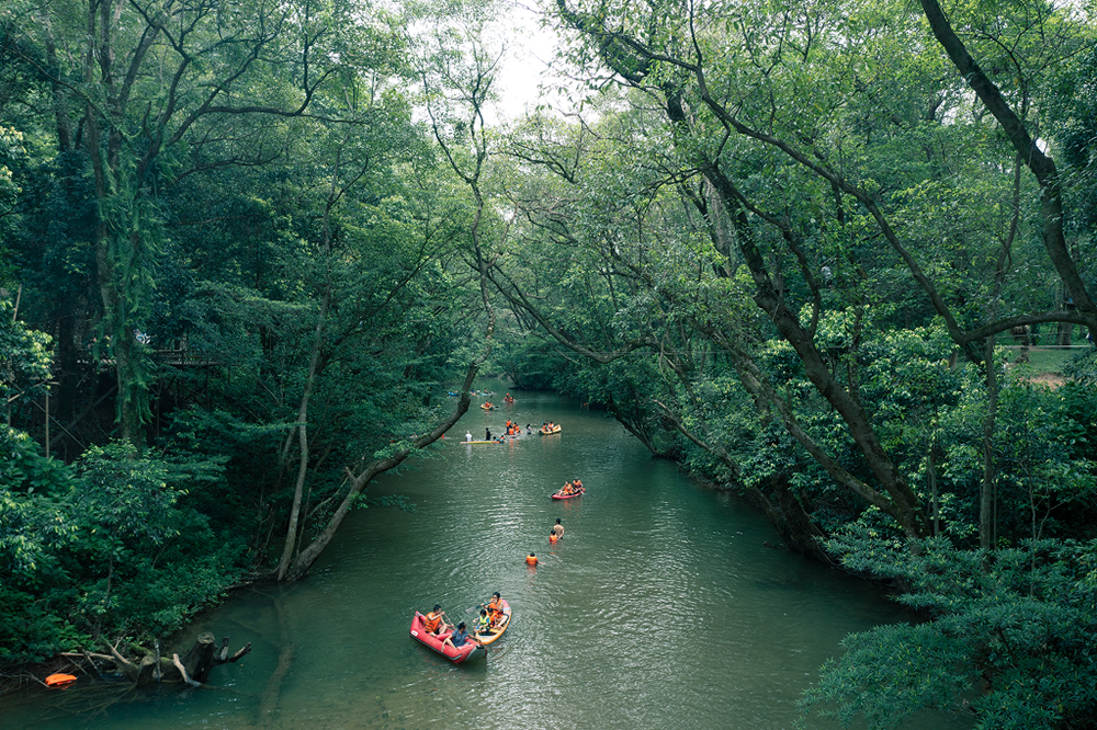 Người phụ nữ lặng thầm giữ một miền xanh cho Phong Nha - ảnh 3