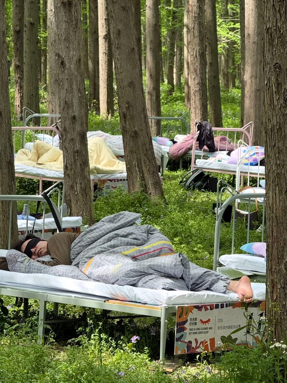 Thi ngủ giữa rừng, săn tiền thưởng và danh hiệu “Thần ngủ tối cao” - ảnh 2