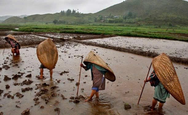 Ngôi làng kỳ lạ nhất hành tinh: Nơi mưa gần như không dứt - ảnh 1