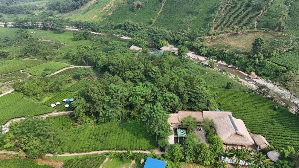 La Bằng thức giấc cùng du lịch xanh dưới chân Tam Đảo - ảnh 5