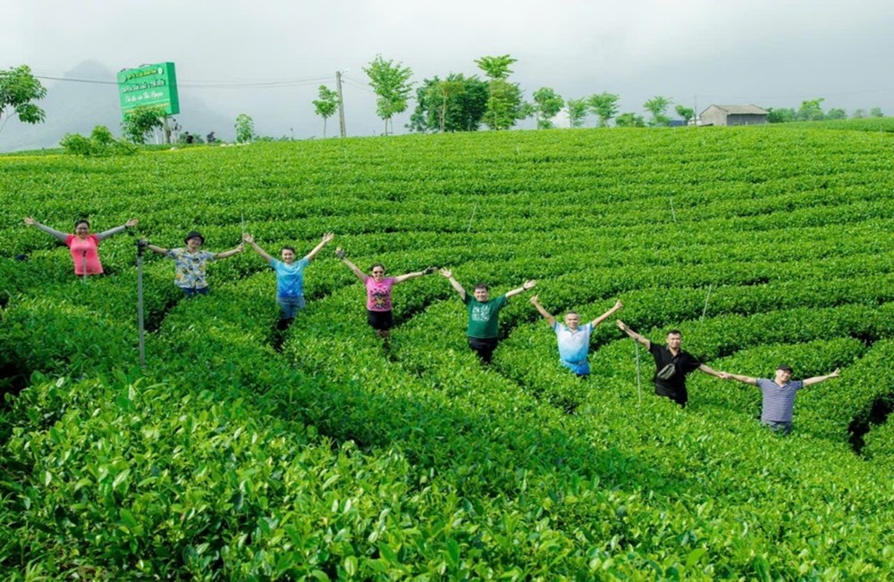 La Bằng thức giấc cùng du lịch xanh dưới chân Tam Đảo - ảnh 6