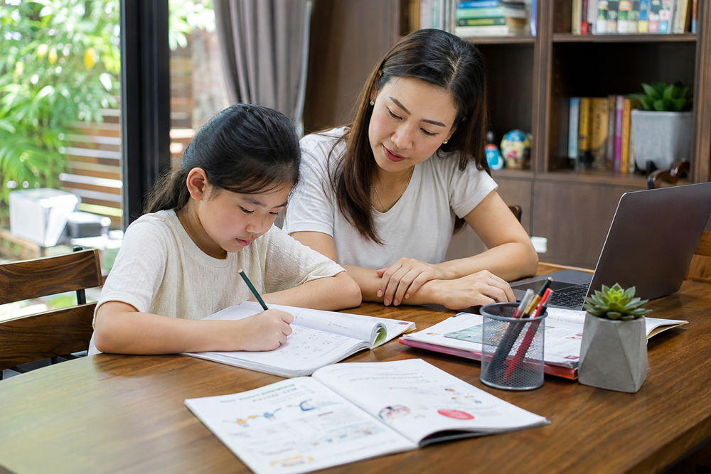 Cho con học homeschool, phụ huynh cần biết gì để trẻ không khó trở lại trường? - ảnh 1