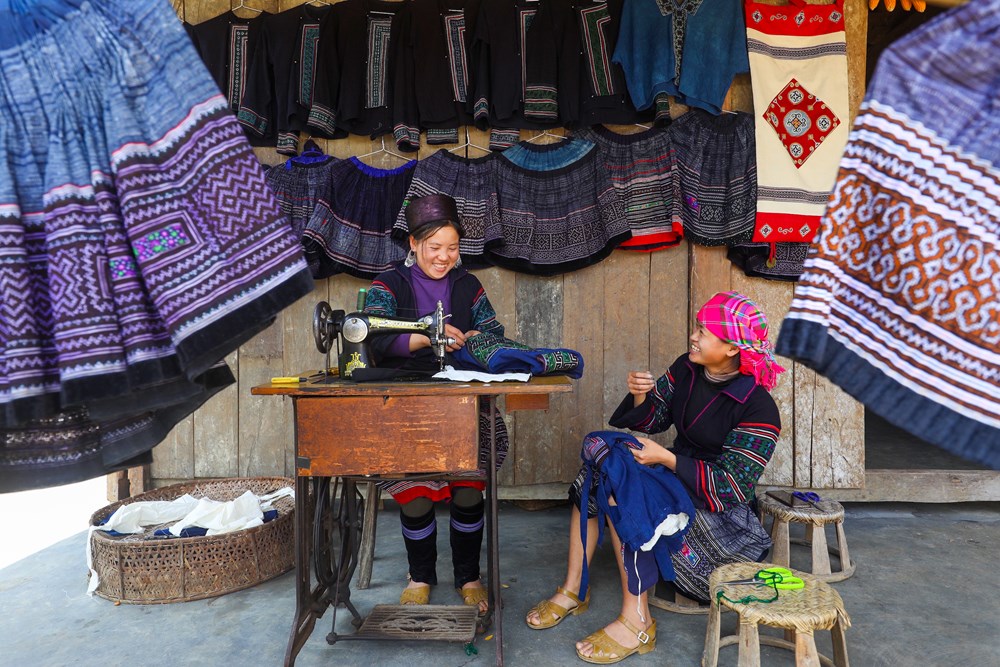 Lên Fansipan mùa thu: Săn mây, ngắm mùa vàng và thảm hoa rực rỡ  ​ - ảnh 8