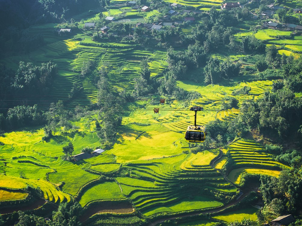 Lên Fansipan mùa thu: Săn mây, ngắm mùa vàng và thảm hoa rực rỡ  ​ - ảnh 1