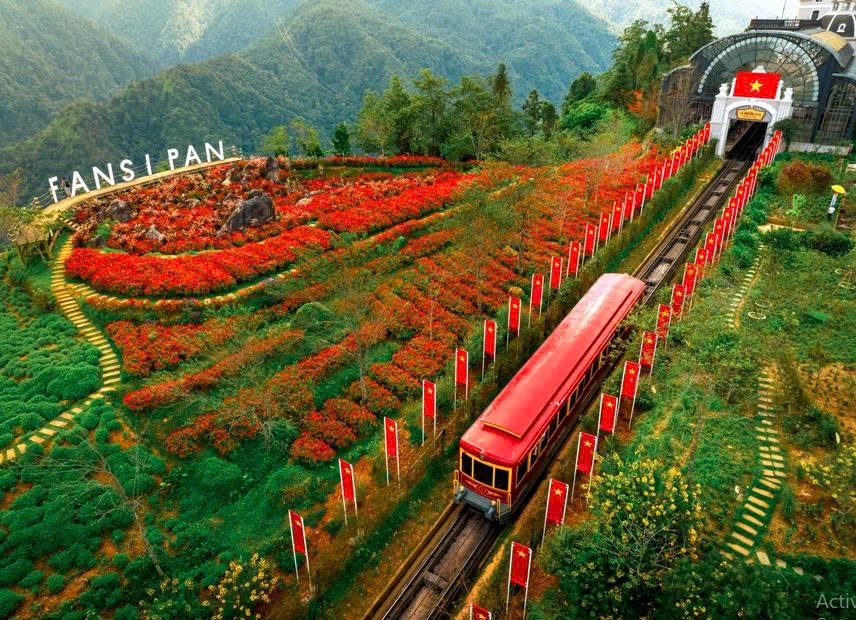 Lên Fansipan mùa thu: Săn mây, ngắm mùa vàng và thảm hoa rực rỡ  ​ - ảnh 6