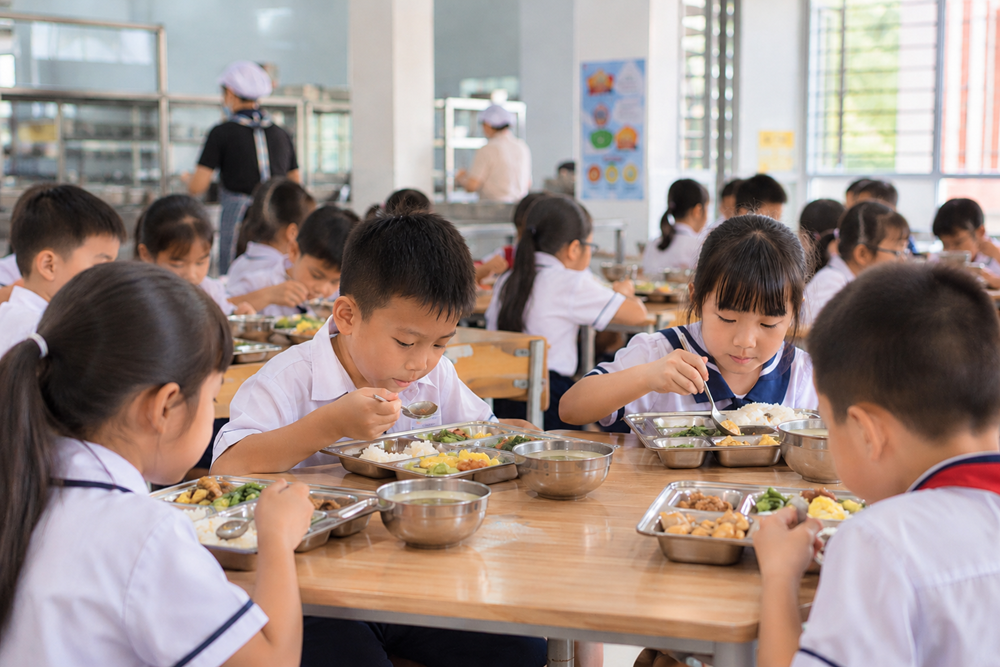 Một bữa cơm bình thường - ảnh 1