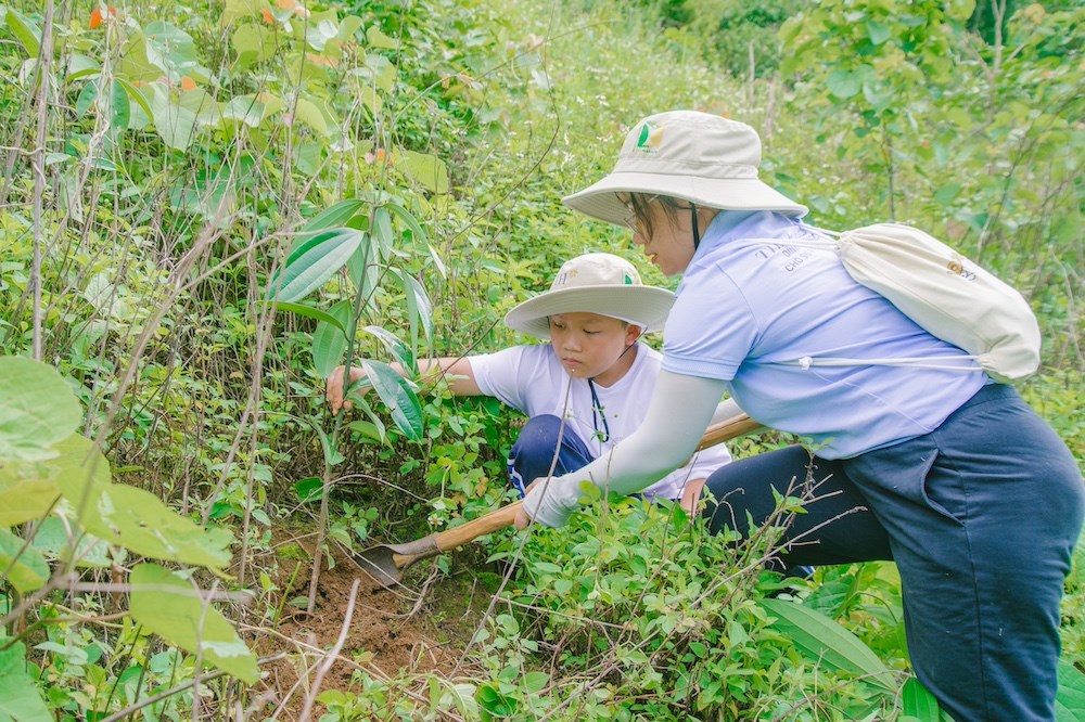 Phát động Chương trình Rừng xanh lên năm 2024  - ảnh 3