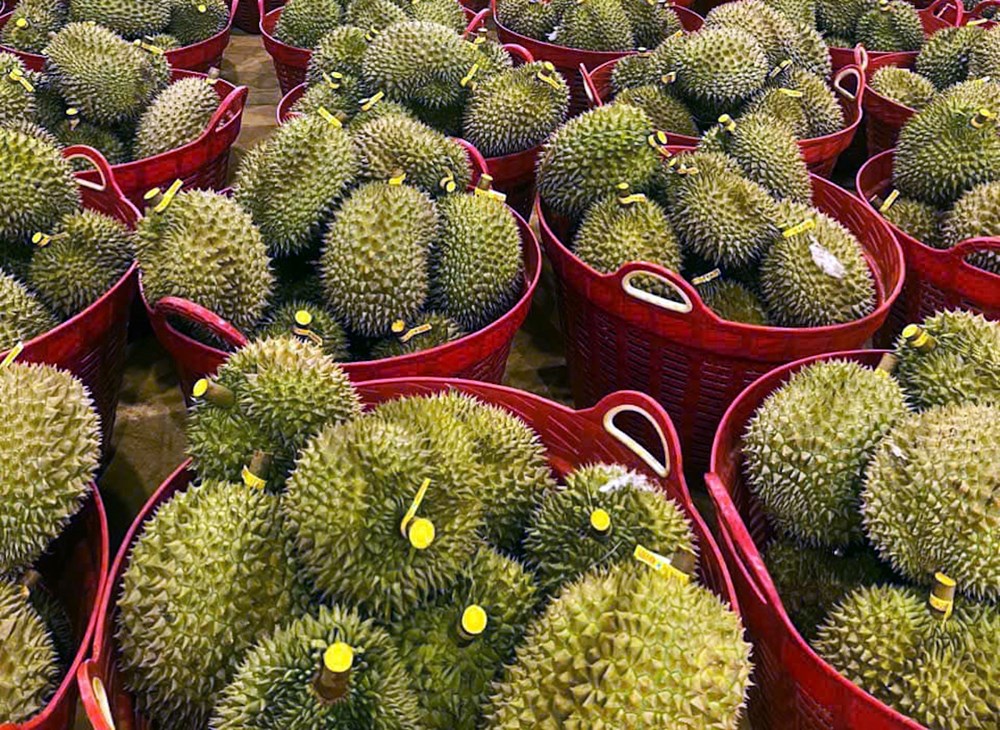 Khi nông sản là thương hiệu... - ảnh 1