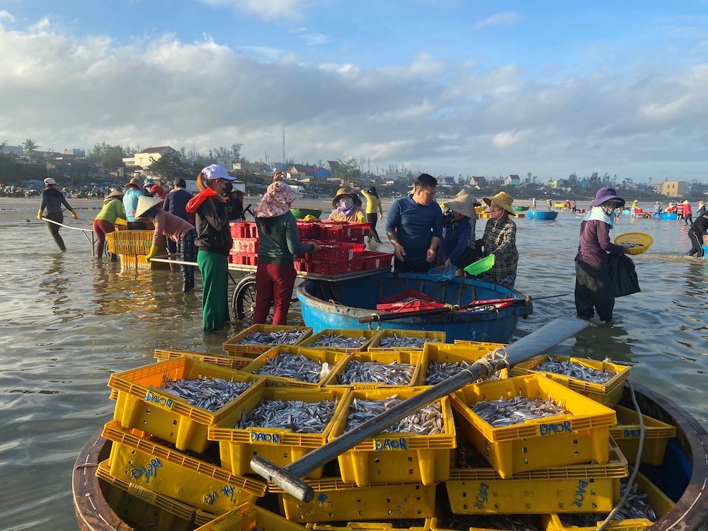 Bài cuối - Di sản bản địa thành sức hút toàn cầu - ảnh 3