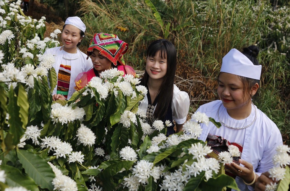 Du lịch Đắk Lắk chuẩn bị vào mùa khô Tây Nguyên - ảnh 4