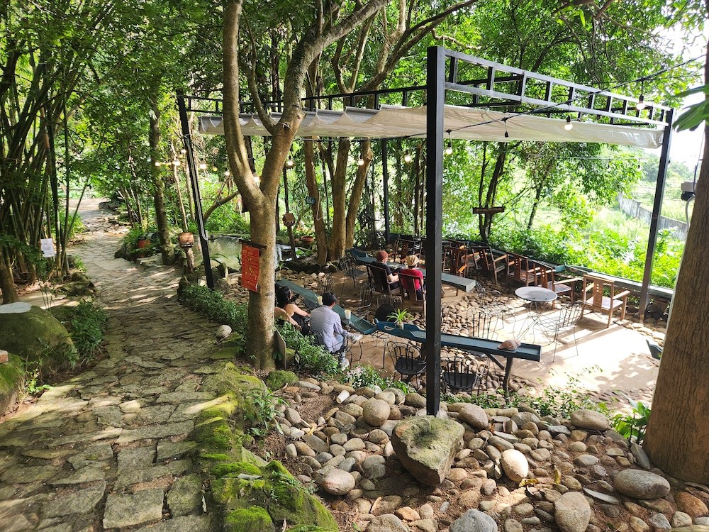 TP. Đà Nẵng: Khơi gợi cảm xúc trà Việt với giới trẻ - ảnh 2