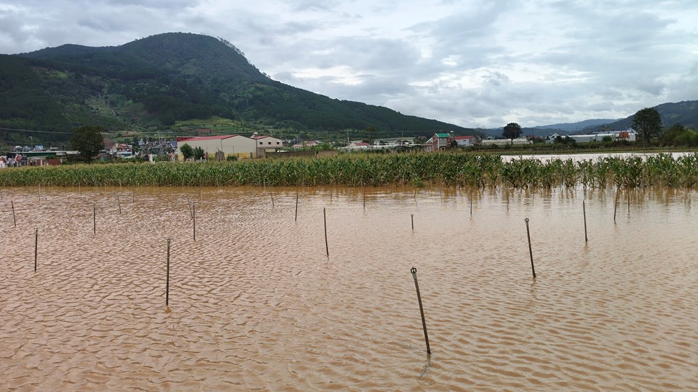 Lâm Đồng: Ngập nặng chia cắt giao thông ngay cửa ngõ Đà Lạt - ảnh 3