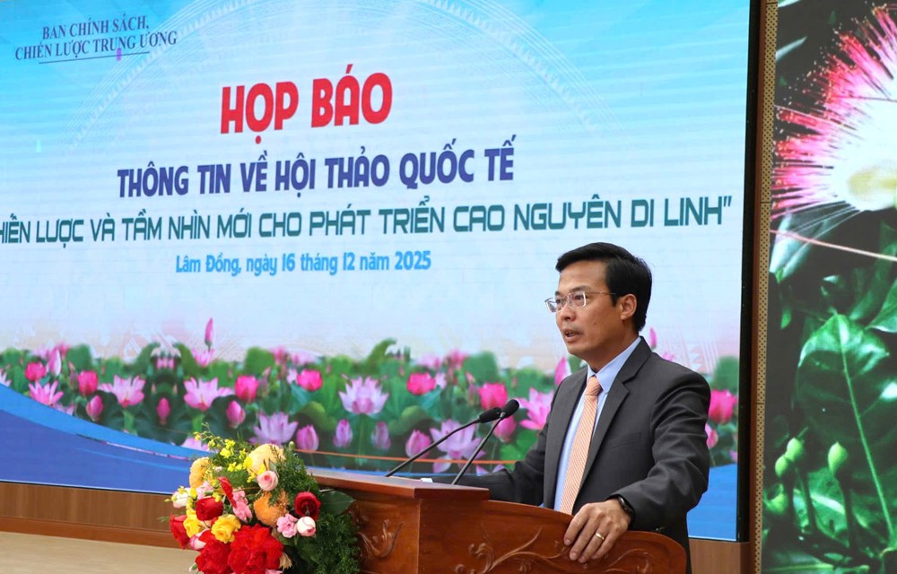 Nhiều tập đoàn hàng đầu thế giới quan tâm đầu tư tại cao nguyên Di Linh - ảnh 3