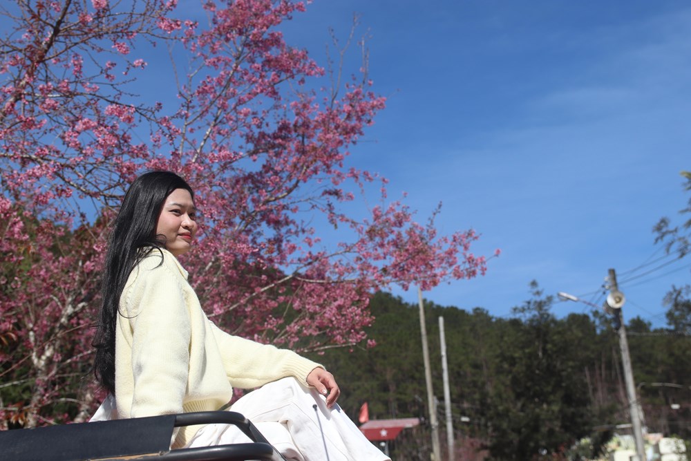 Buôn làng K’Ho bừng sắc xuân trong mùa mai Anh đào - ảnh 4