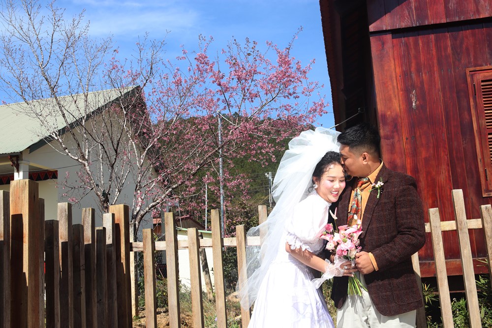 Buôn làng K’Ho bừng sắc xuân trong mùa mai Anh đào - ảnh 13