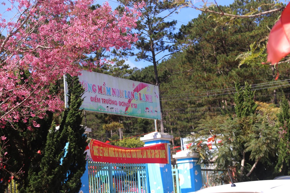 Buôn làng K’Ho bừng sắc xuân trong mùa mai Anh đào - ảnh 18