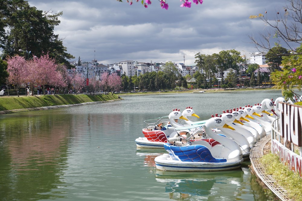 Lâm Đồng: Bổ sung, chỉnh sửa hồ sơ khoa học di tích danh thắng hồ Xuân Hương - ảnh 4