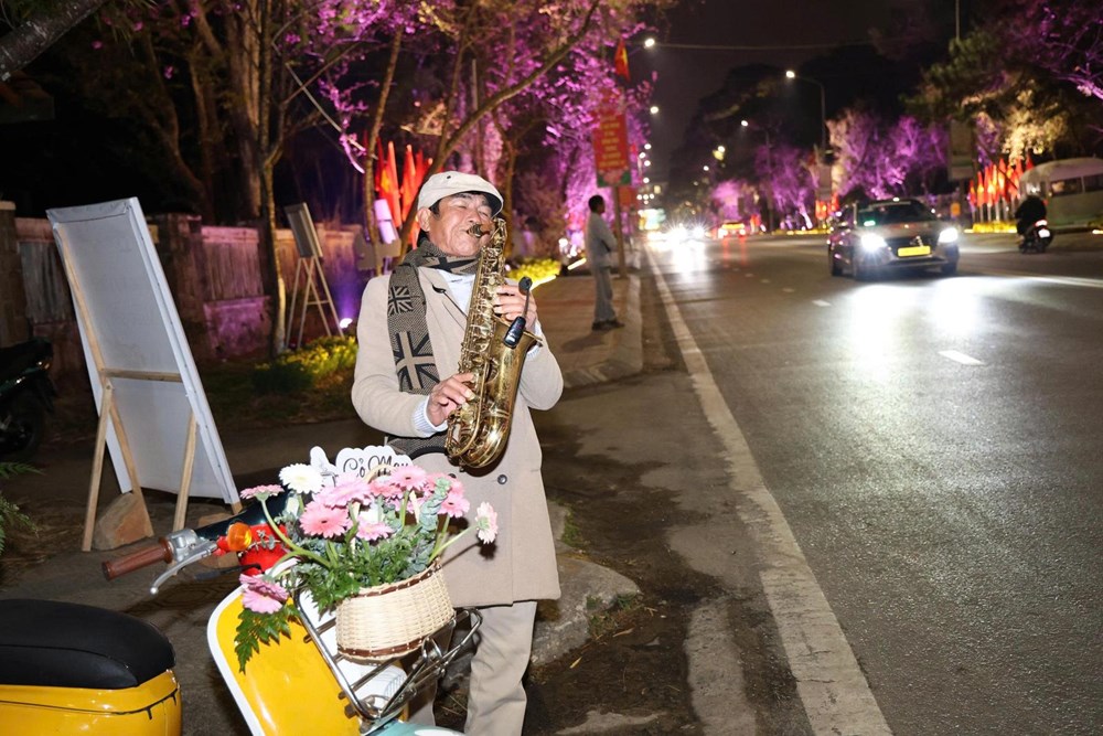 Khai mạc đường hoa ánh sáng, nghệ thuật “Sáng tạo cùng hoa mai anh đào Đà Lạt” - ảnh 3