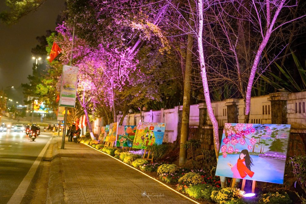 Khai mạc đường hoa ánh sáng, nghệ thuật “Sáng tạo cùng hoa mai anh đào Đà Lạt” - ảnh 4