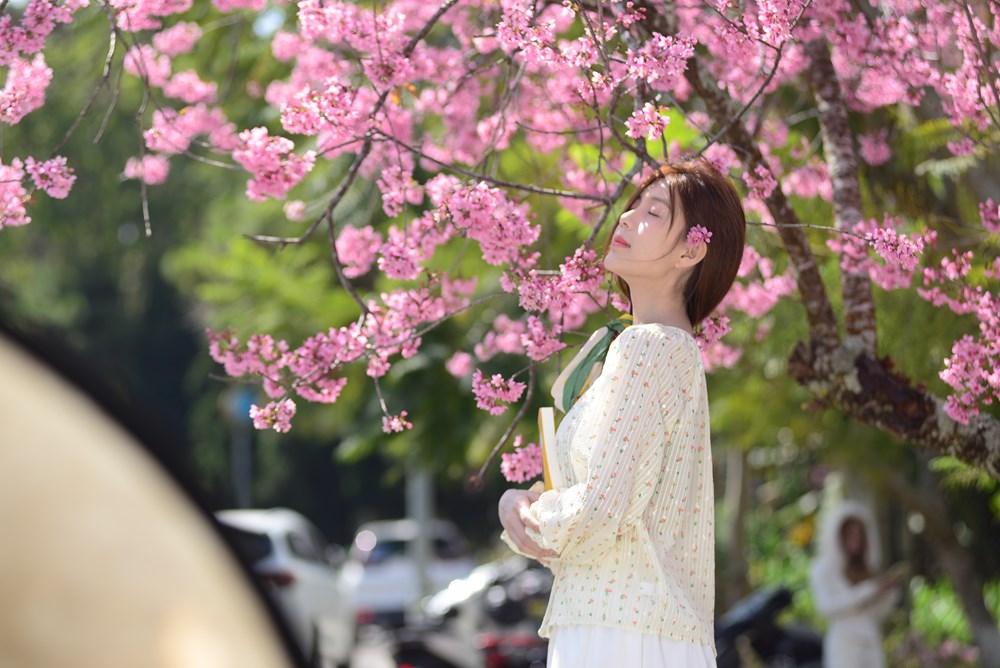 Lễ hội hoa mai anh đào Đà Lạt: Lan tỏa sắc xuân, nâng tầm thương hiệu du lịch - ảnh 4