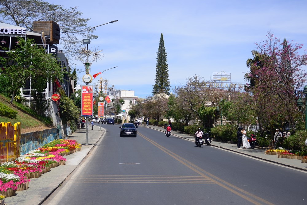 Lâm Đồng: Du khách đến Đà Lạt tăng mạnh trong dịp Tết Nguyên đán - ảnh 8