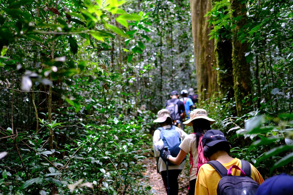 Vườn Quốc gia Bidoup – Núi Bà, điểm du lịch sinh thái rừng không thể bỏ qua trên Cao nguyên Lang Biang - ảnh 1