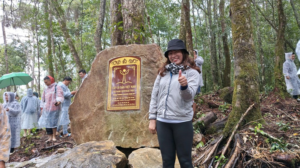 Vườn Quốc gia Bidoup – Núi Bà, điểm du lịch sinh thái rừng không thể bỏ qua trên Cao nguyên Lang Biang - ảnh 6