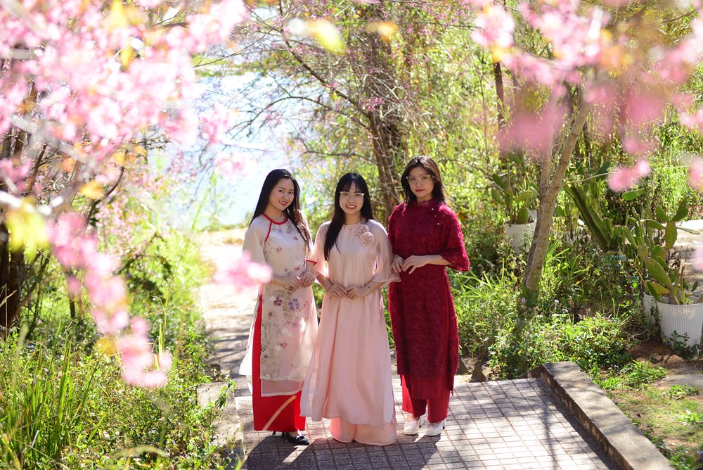 Cảng hàng không Liên Khương tạm đóng cửa, bài toán nào để hoàn thành mục tiêu đón 25 triệu lượt khách? - ảnh 3