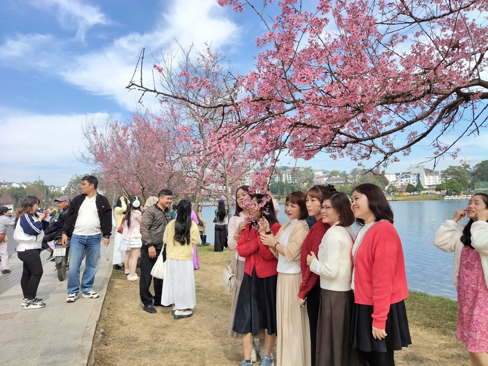 Lâm Đồng cần định vị lại thị trường khách du lịch nước ngoài - ảnh 4