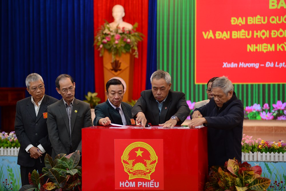 Lâm Đồng: Hơn 2,7 triệu cử tri đi bầu cử - ảnh 4