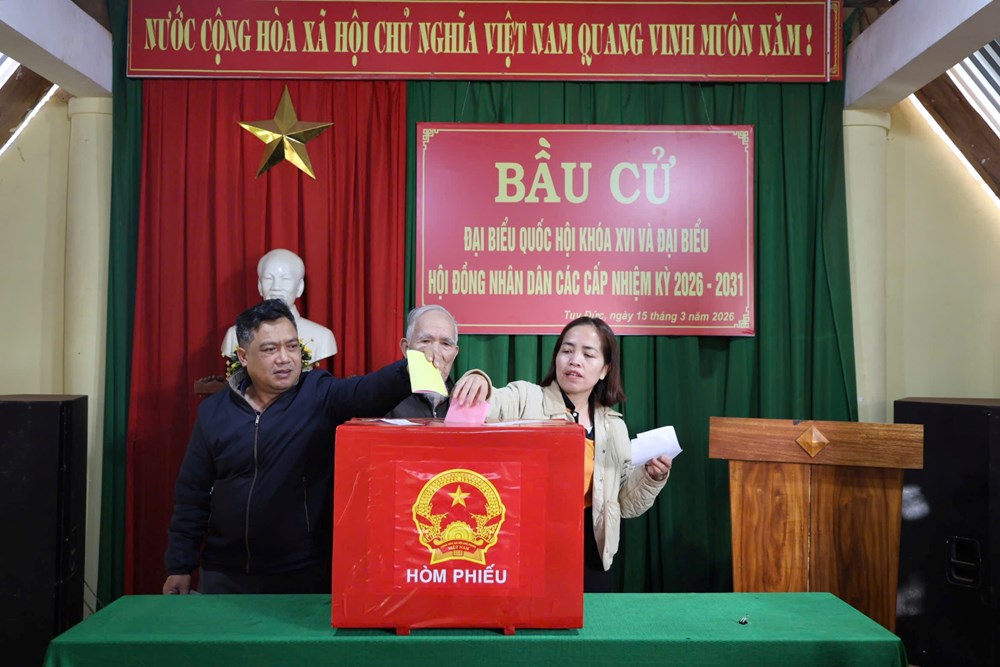 Lâm Đồng: Hơn 2,7 triệu cử tri đi bầu cử - ảnh 8